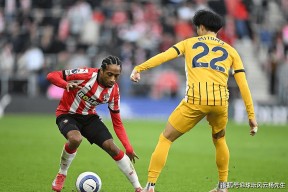 布莱顿训练开放日；集结日迎来里程碑引欢呼；CBA常规赛在即；阵容厚度经受考验-爱游戏